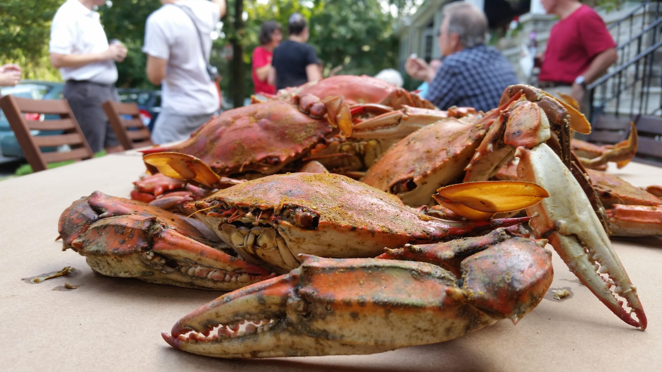 maryland-crab